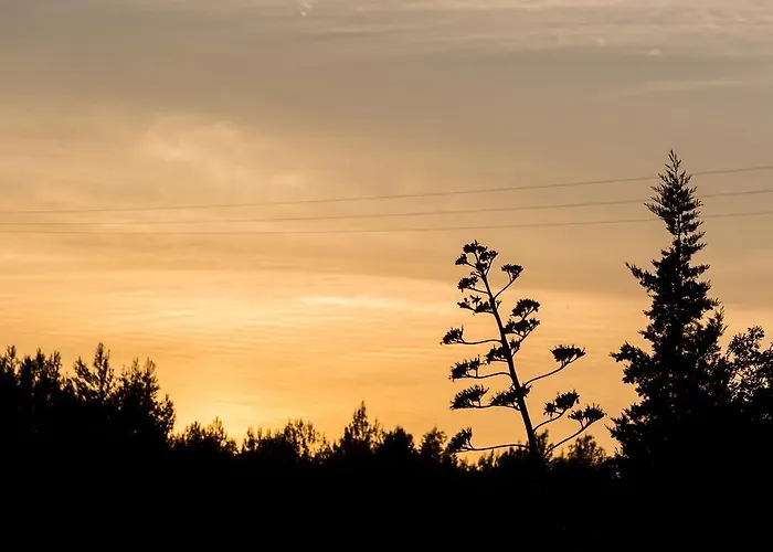 Duje Ribnica Обровац