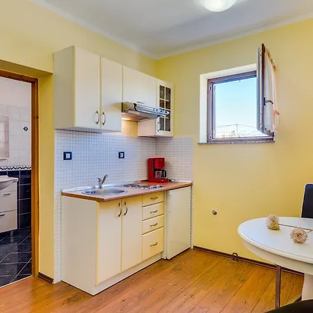 公寓 Duje Ribnica *